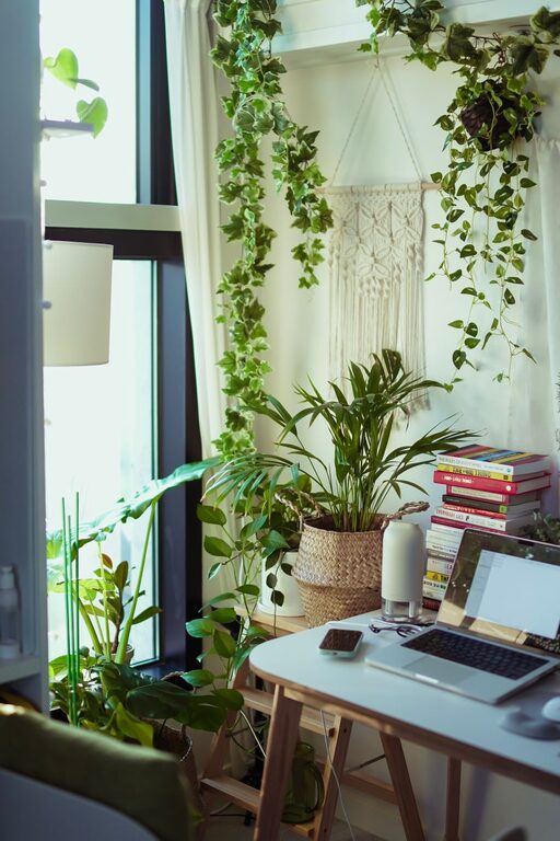 Tips for Creating a Cozy and Inviting Home Office Space